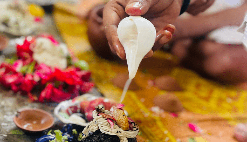 Pitra Dosh Nivaran Puja and Pinddaan in Gaya 