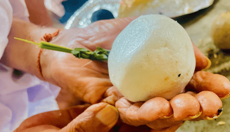 What is Pitripaksha, and Why is it Significant?